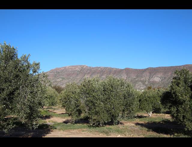 15HA FARM FOR SALE IN PRINCE ALBERT RURAL